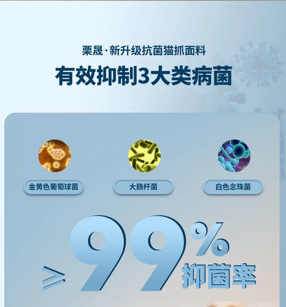 Modern Living Room Sofas Bed Luxury Background Lounge Nordic Style Sofas Cloud Design Lazy Canape Salon De Luxe Home Furniture